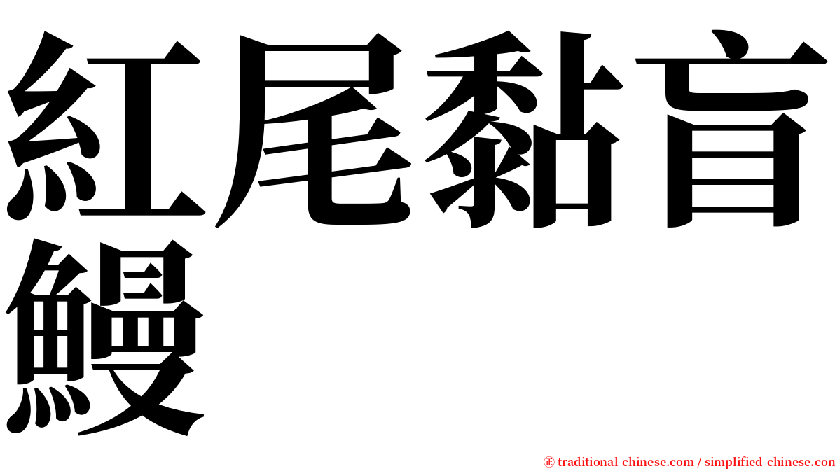 紅尾黏盲鰻 serif font