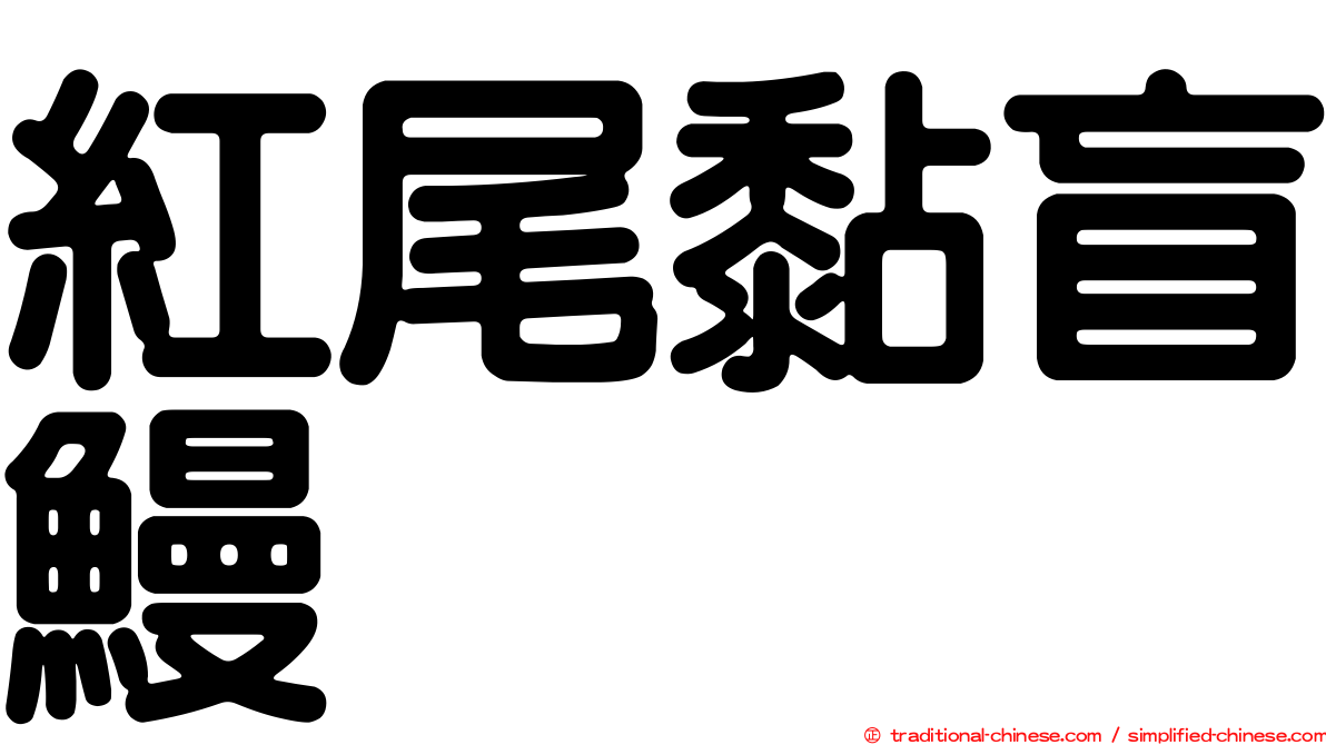 紅尾黏盲鰻