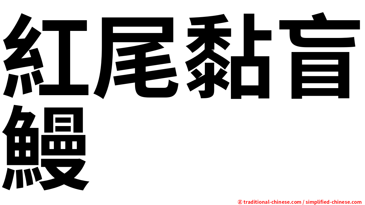 紅尾黏盲鰻