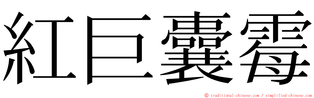 紅巨囊霉 ming font