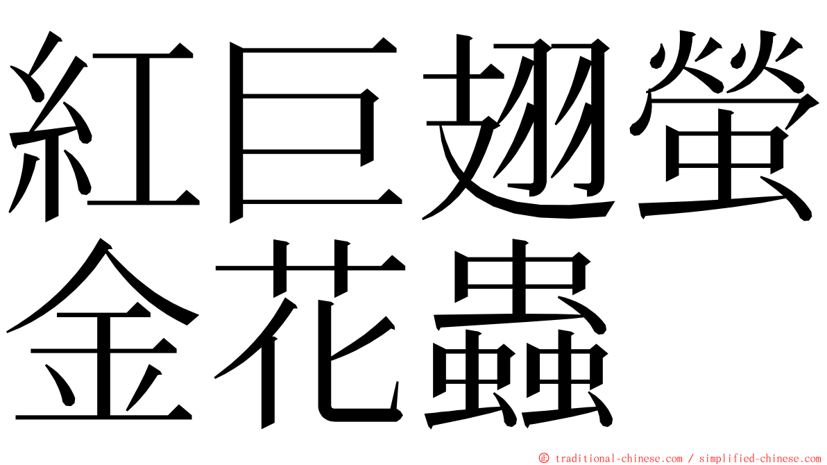 紅巨翅螢金花蟲 ming font