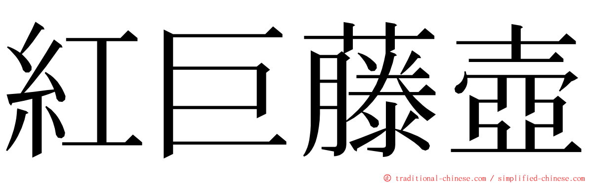 紅巨藤壺 ming font