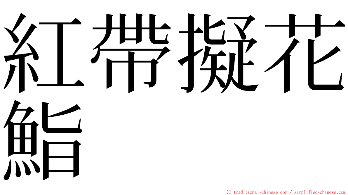 紅帶擬花鮨 ming font