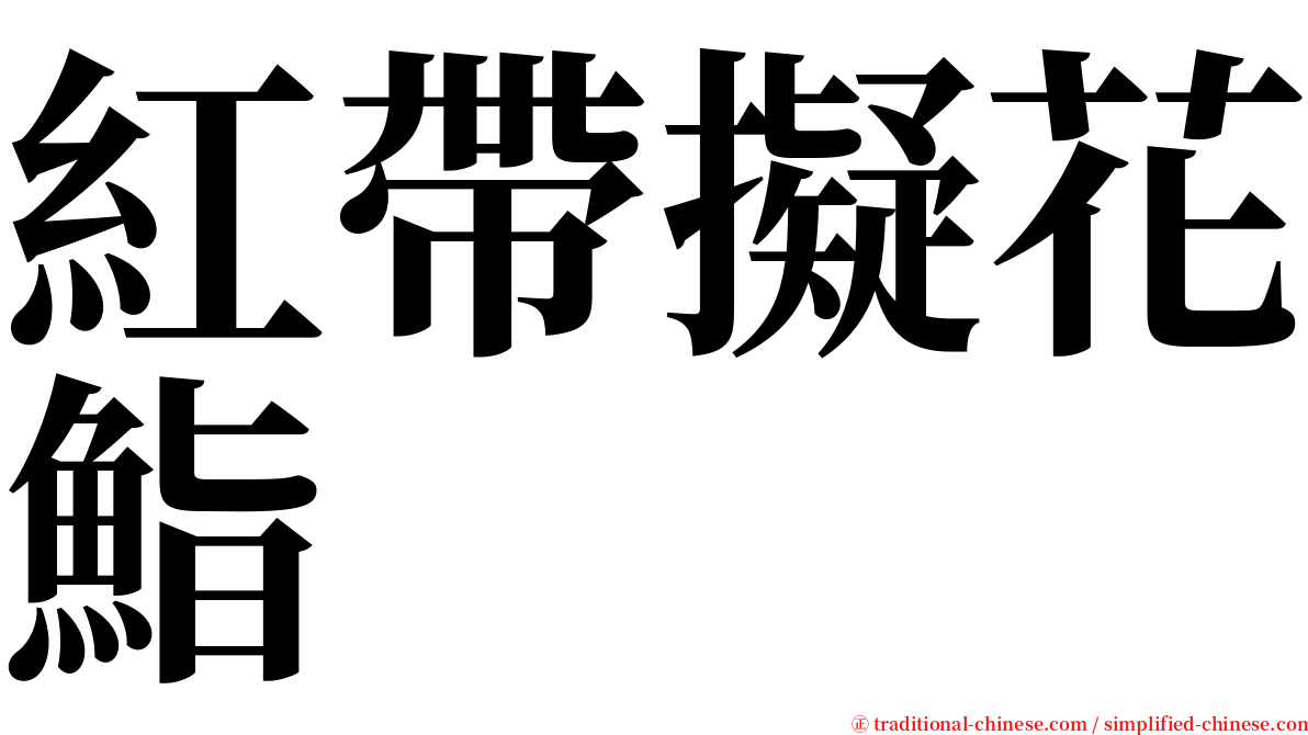 紅帶擬花鮨 serif font