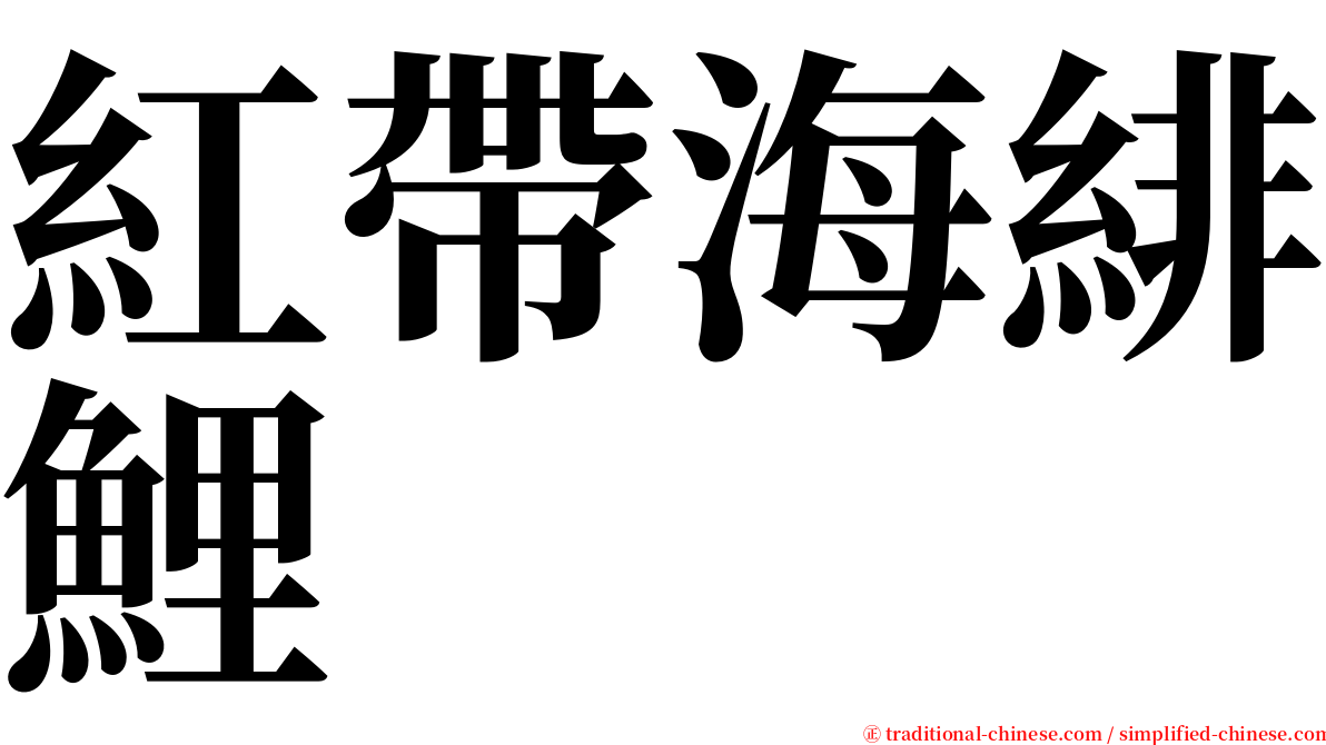 紅帶海緋鯉 serif font