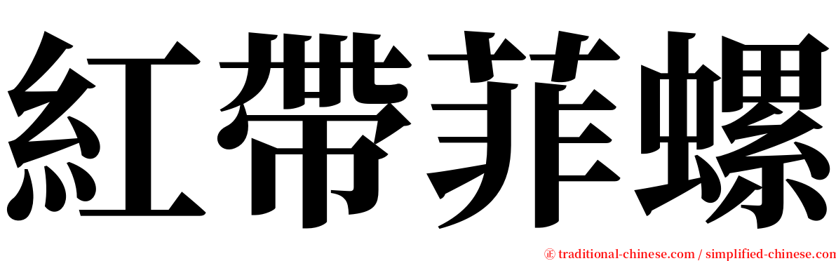 紅帶菲螺 serif font