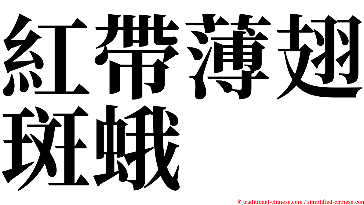 紅帶薄翅斑蛾 serif font