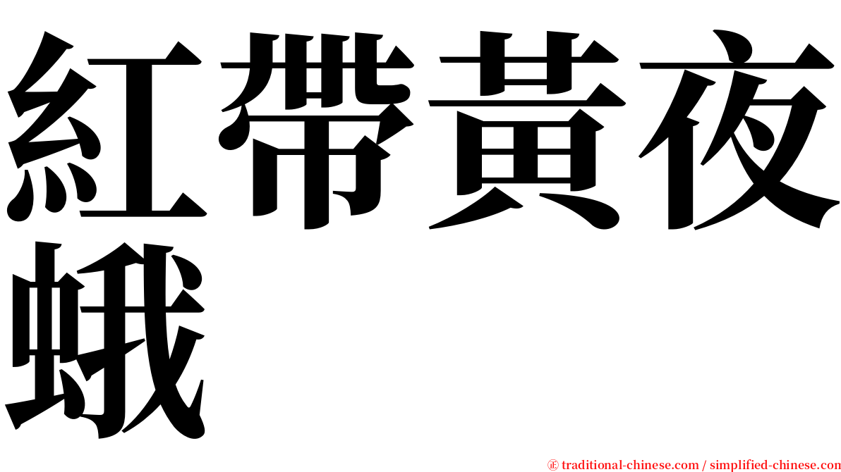 紅帶黃夜蛾 serif font