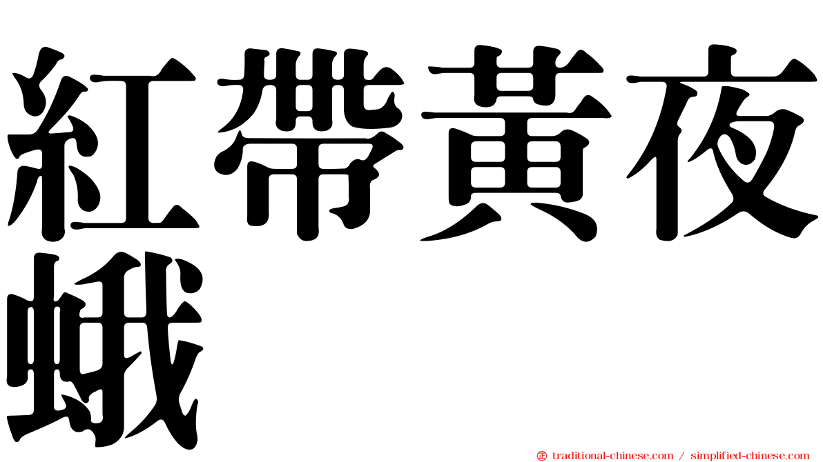 紅帶黃夜蛾