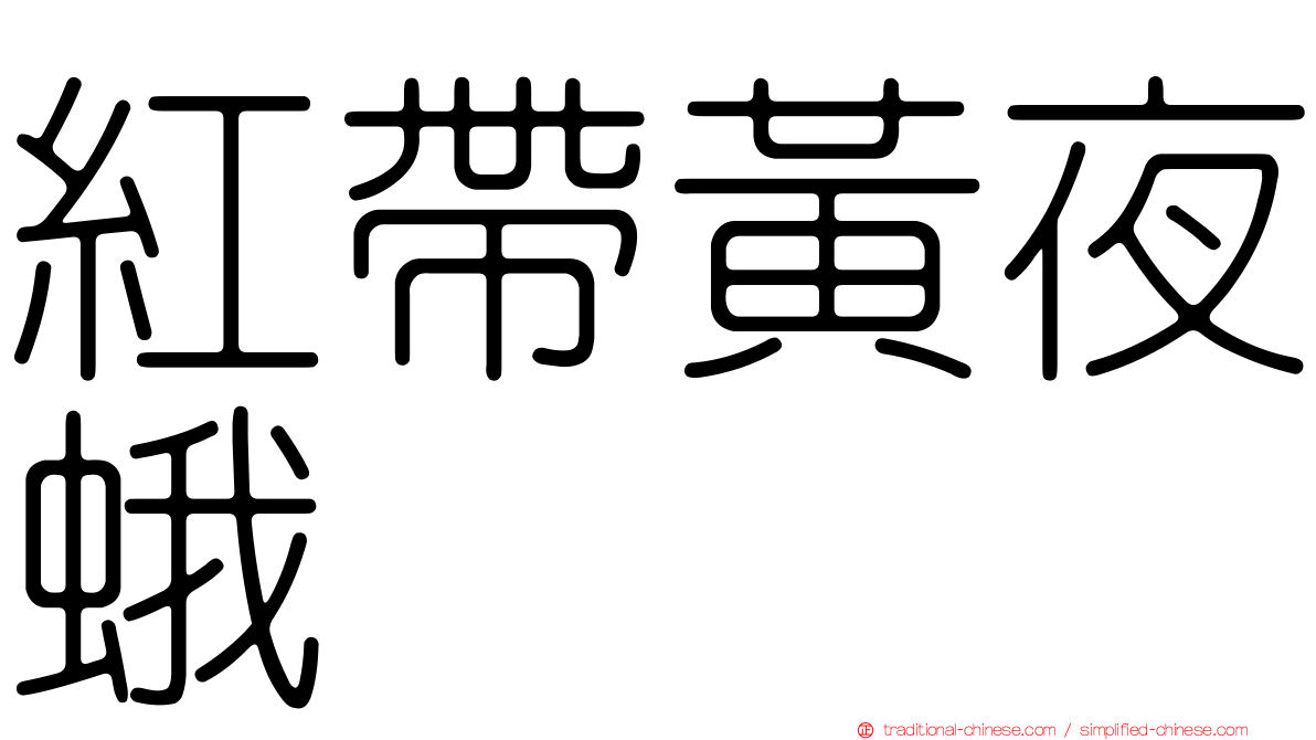 紅帶黃夜蛾
