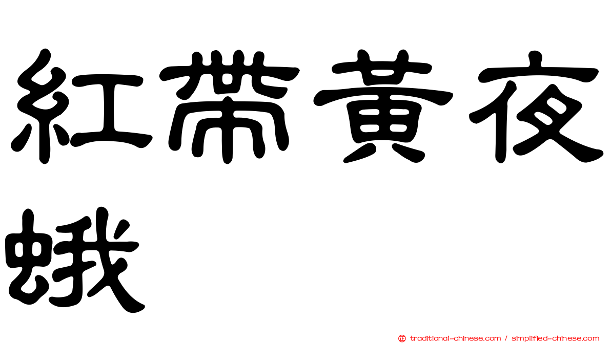 紅帶黃夜蛾
