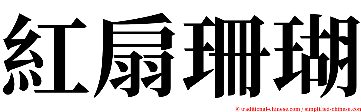 紅扇珊瑚 serif font