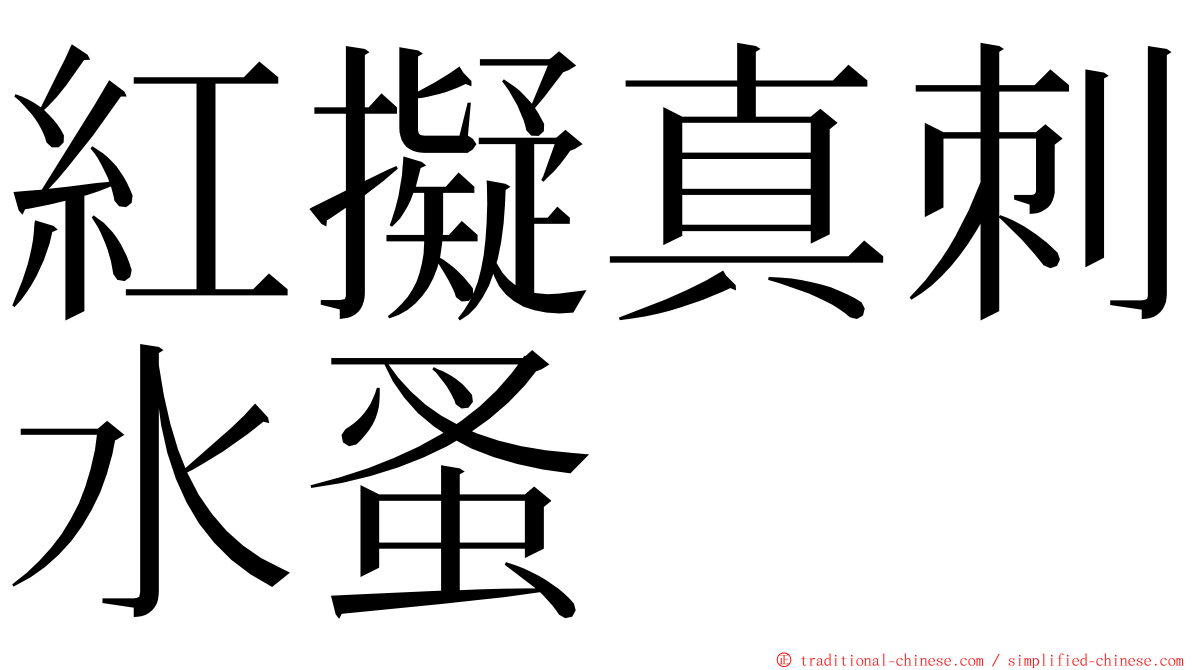 紅擬真刺水蚤 ming font