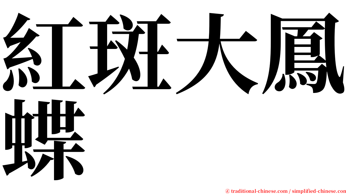 紅斑大鳳蝶 serif font