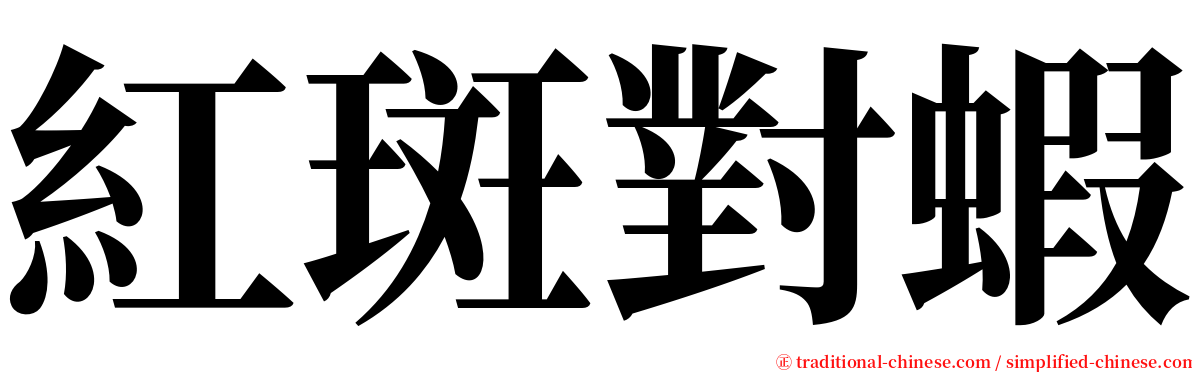 紅斑對蝦 serif font