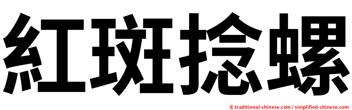 紅斑捻螺