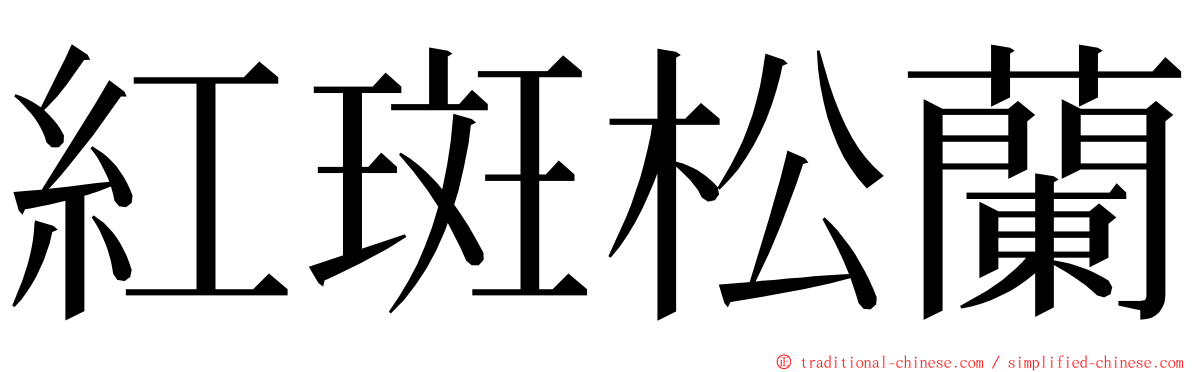 紅斑松蘭 ming font