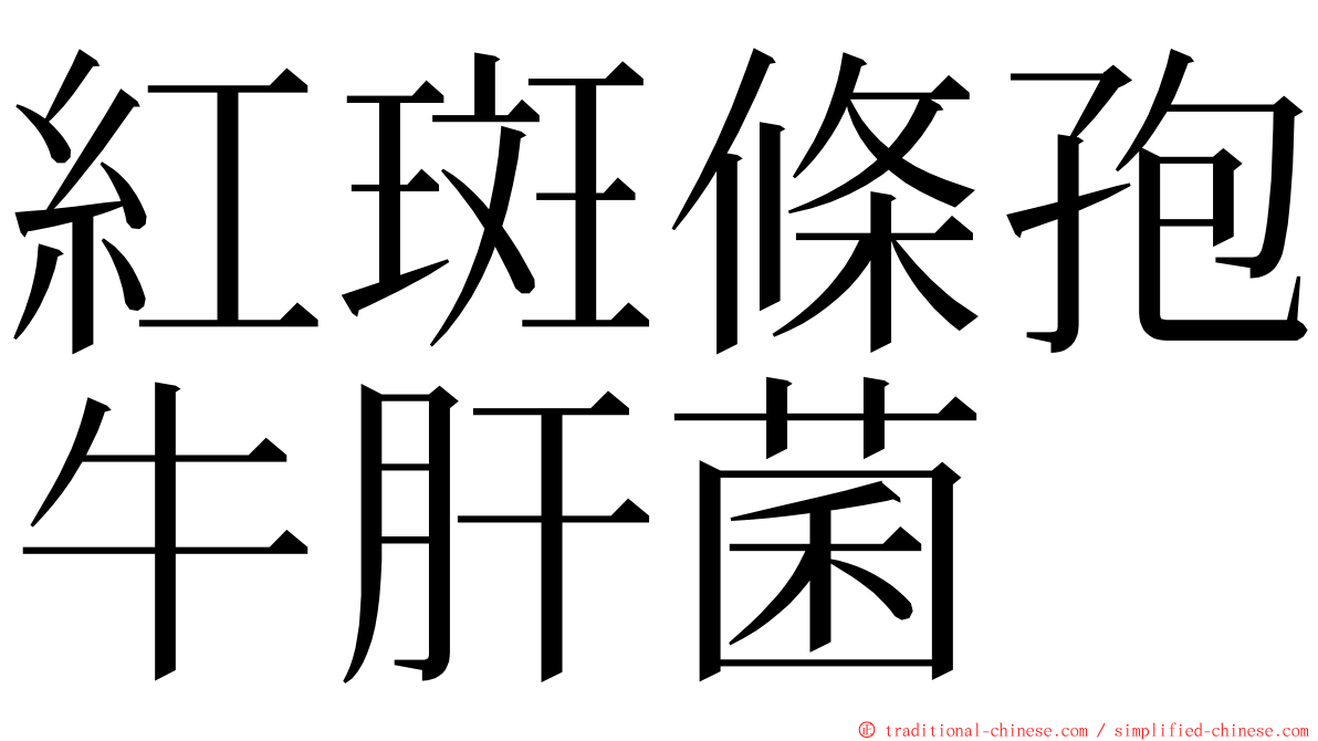 紅斑條孢牛肝菌 ming font