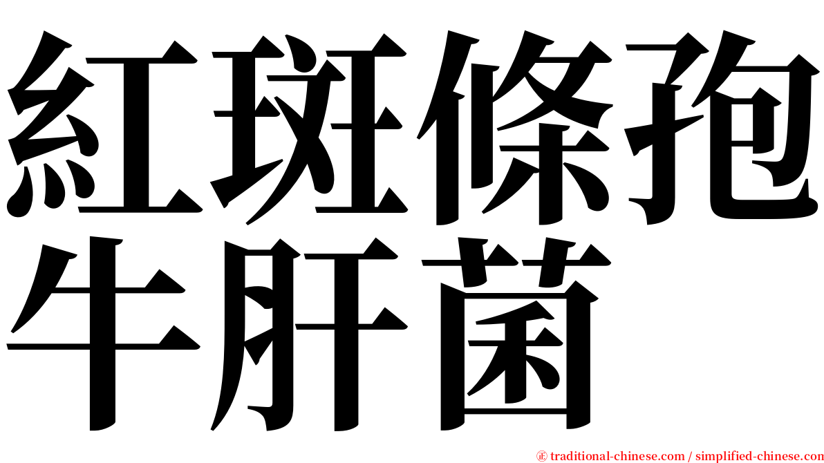 紅斑條孢牛肝菌 serif font