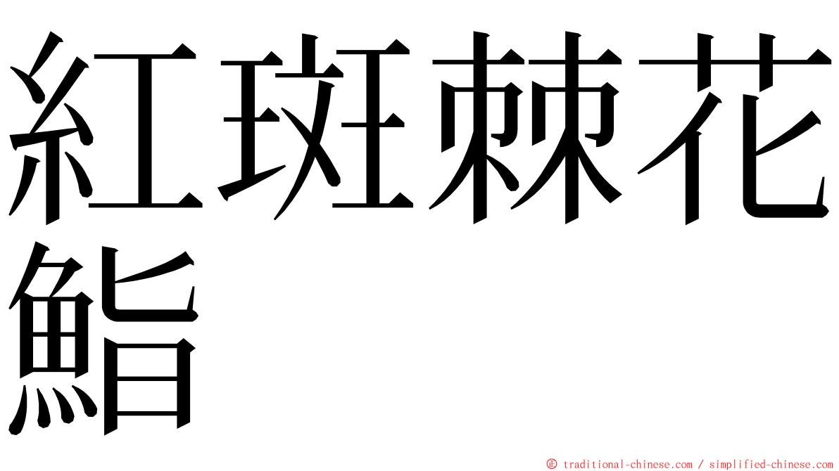 紅斑棘花鮨 ming font