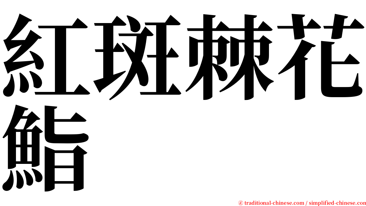 紅斑棘花鮨 serif font