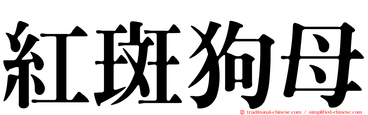 紅斑狗母