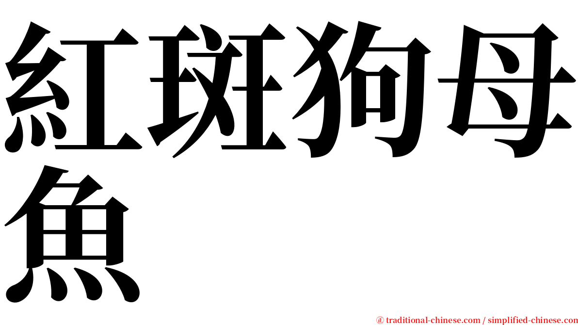 紅斑狗母魚 serif font