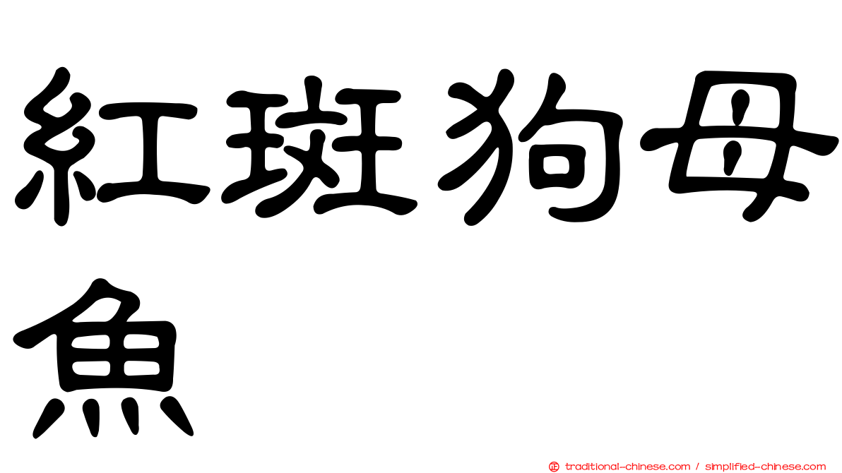 紅斑狗母魚