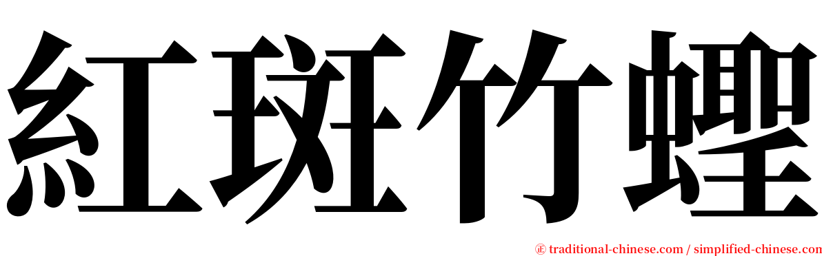 紅斑竹蟶 serif font