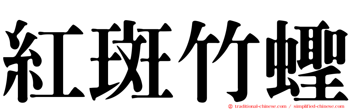 紅斑竹蟶