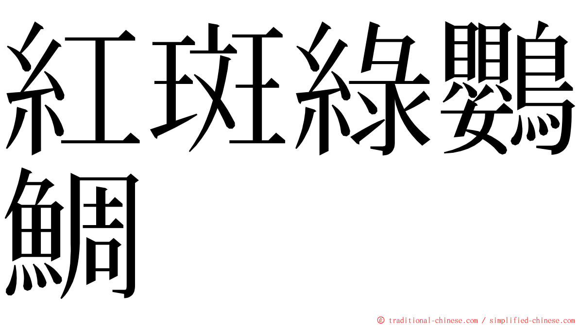 紅斑綠鸚鯛 ming font