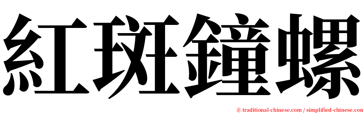 紅斑鐘螺 serif font