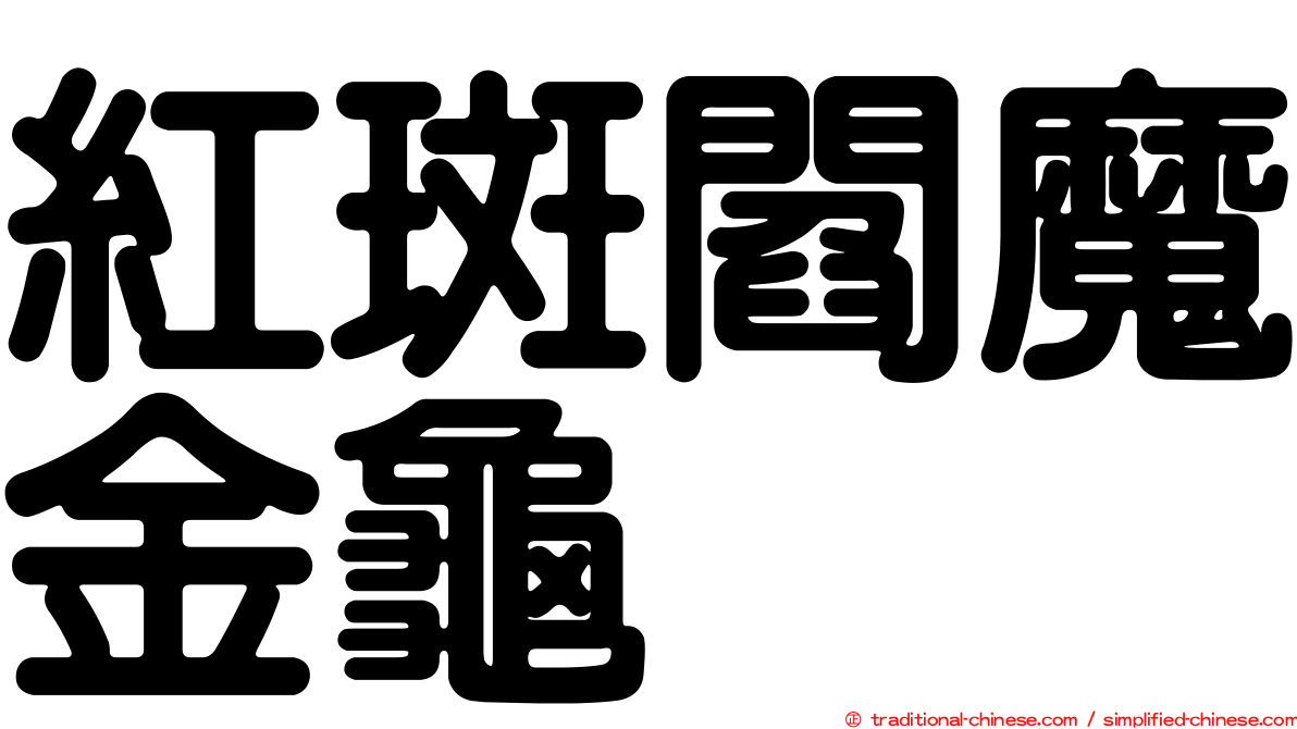 紅斑閻魔金龜