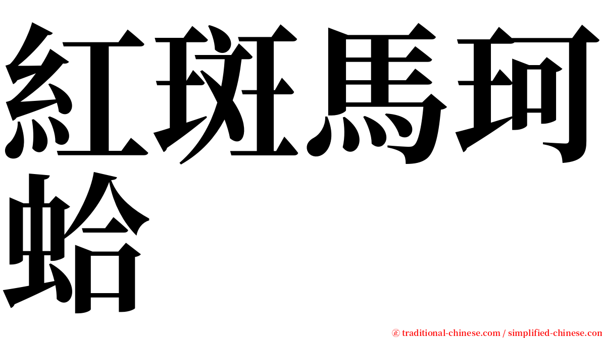 紅斑馬珂蛤 serif font