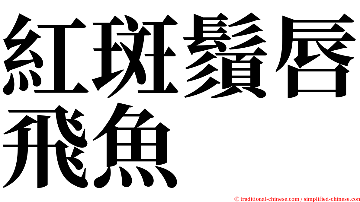 紅斑鬚唇飛魚 serif font