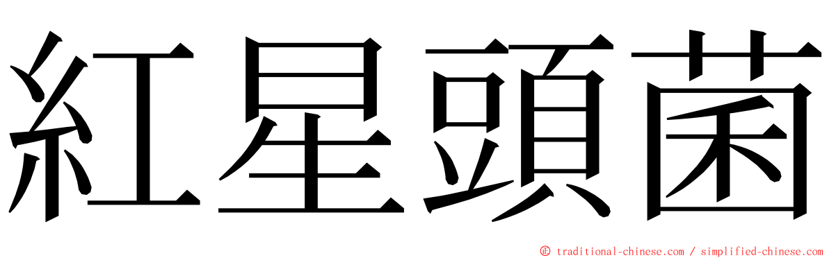 紅星頭菌 ming font