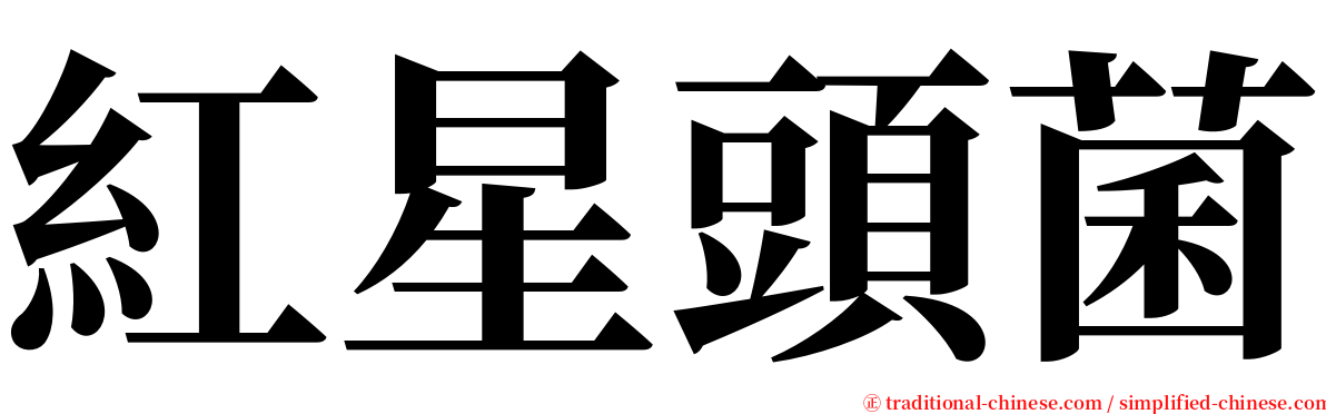 紅星頭菌 serif font