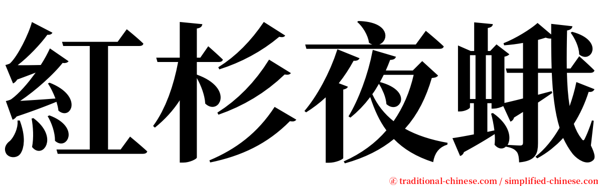 紅杉夜蛾 serif font