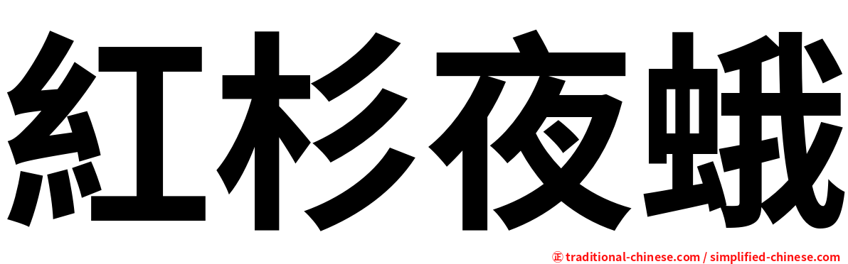 紅杉夜蛾