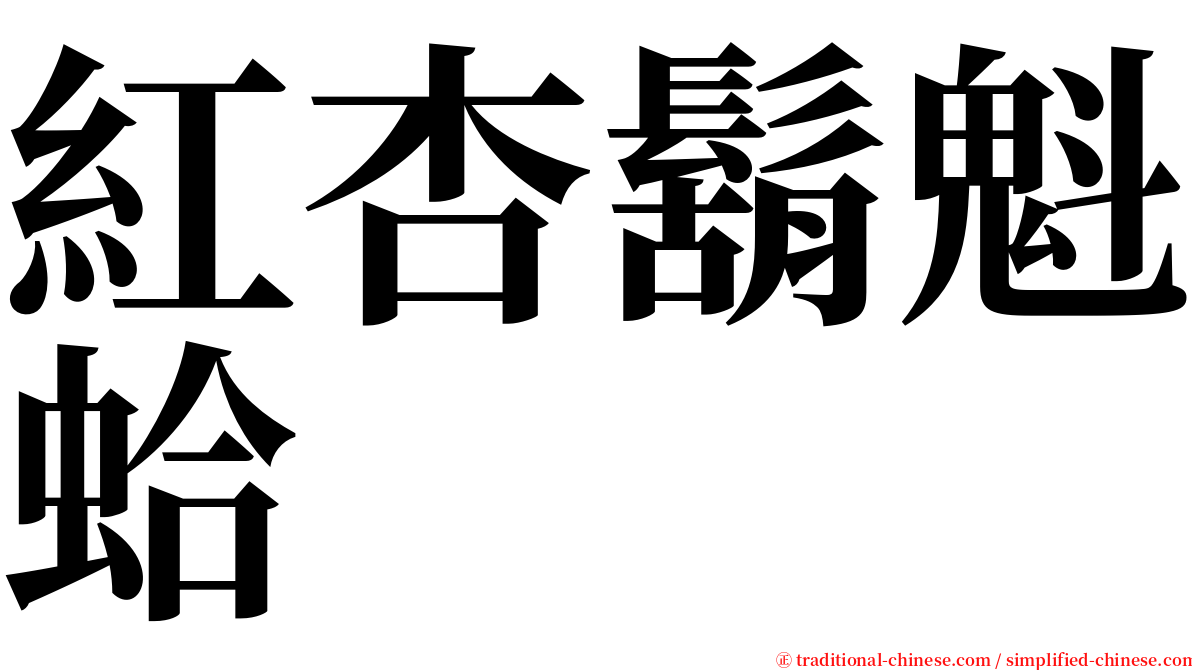 紅杏鬍魁蛤 serif font