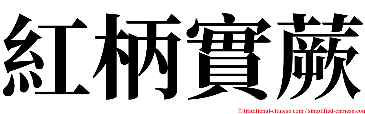 紅柄實蕨 serif font