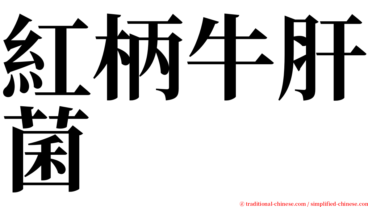 紅柄牛肝菌 serif font