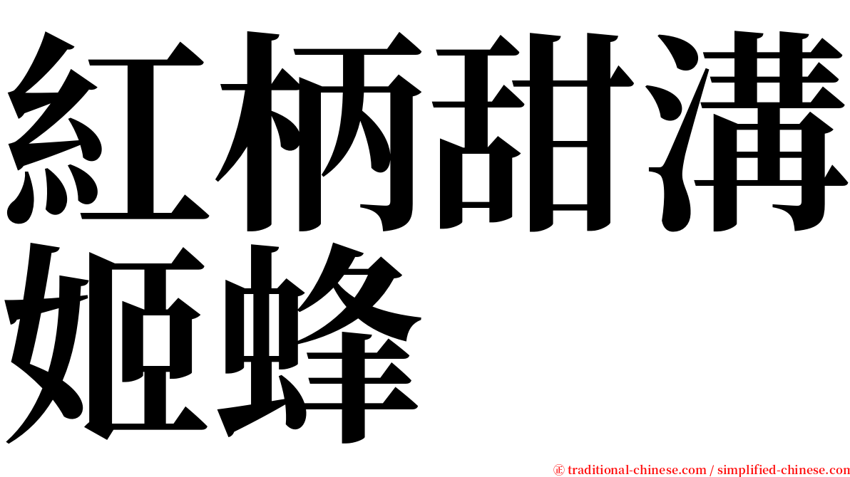 紅柄甜溝姬蜂 serif font