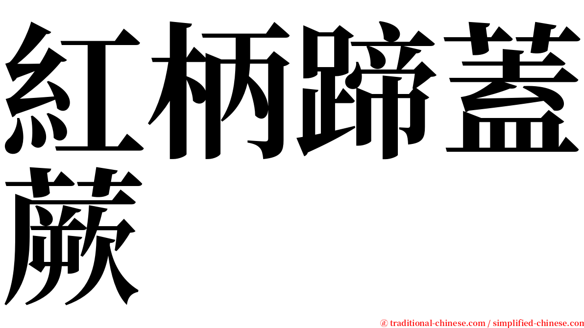 紅柄蹄蓋蕨 serif font