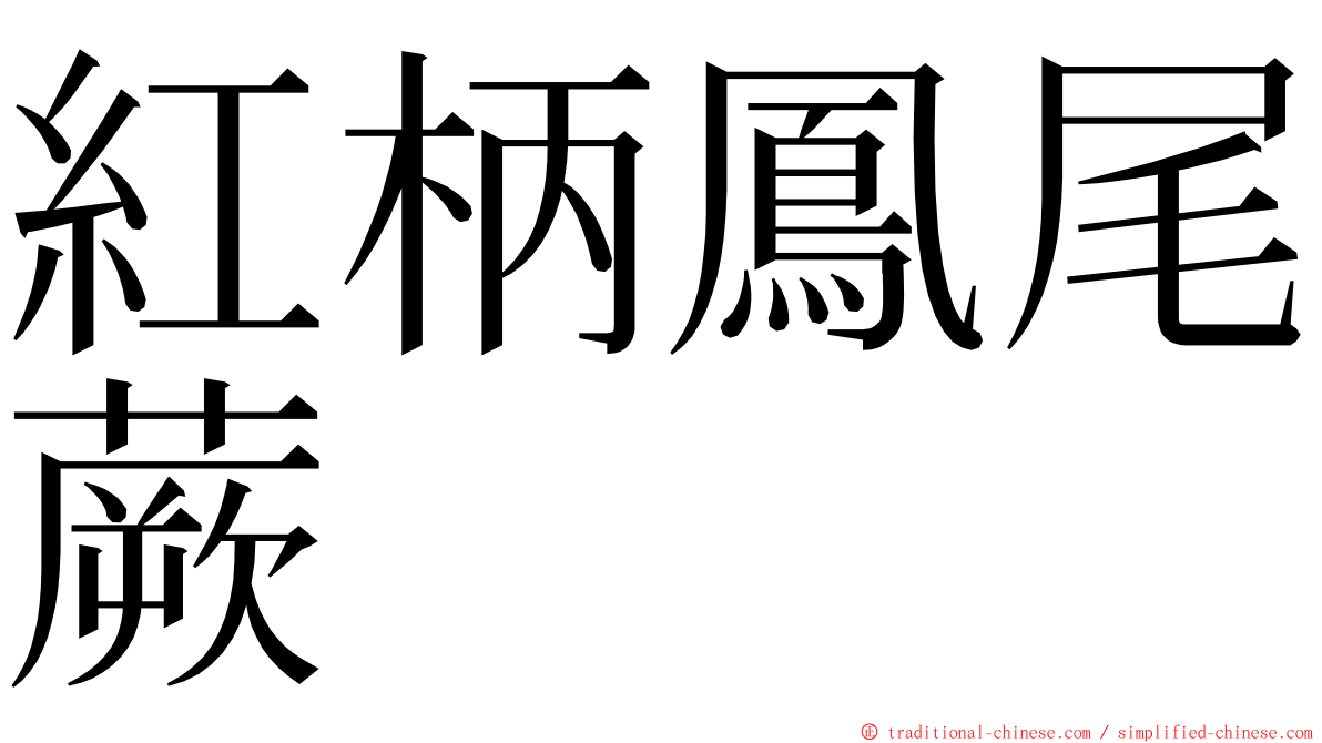 紅柄鳳尾蕨 ming font