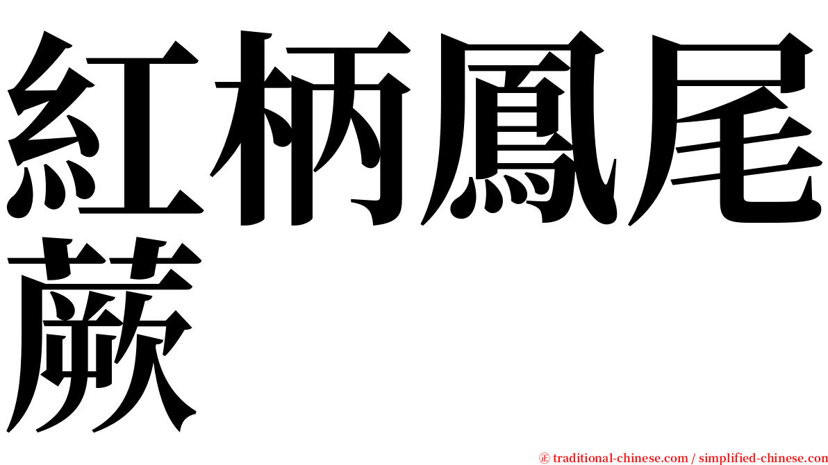 紅柄鳳尾蕨 serif font