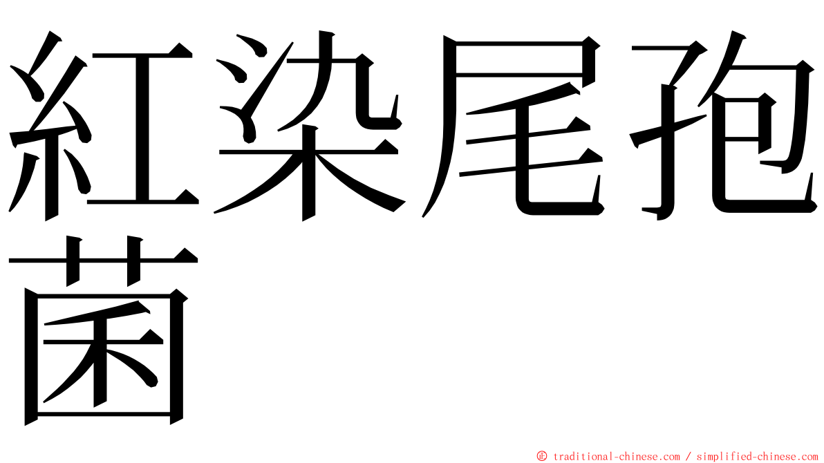 紅染尾孢菌 ming font