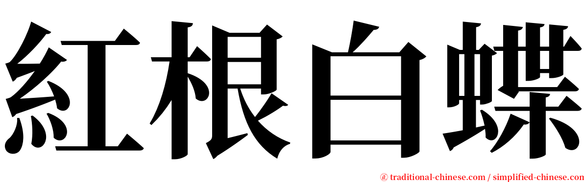 紅根白蝶 serif font