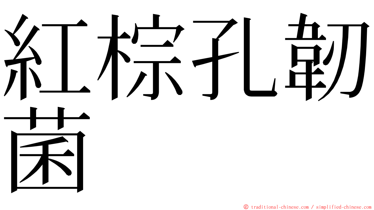 紅棕孔韌菌 ming font