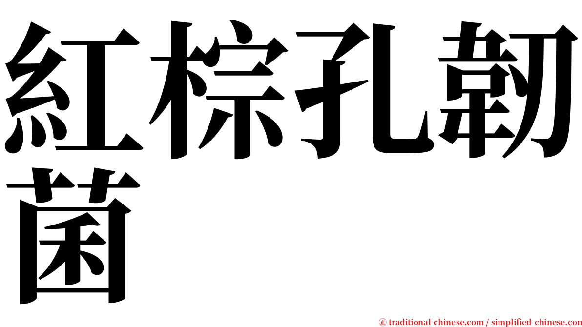 紅棕孔韌菌 serif font